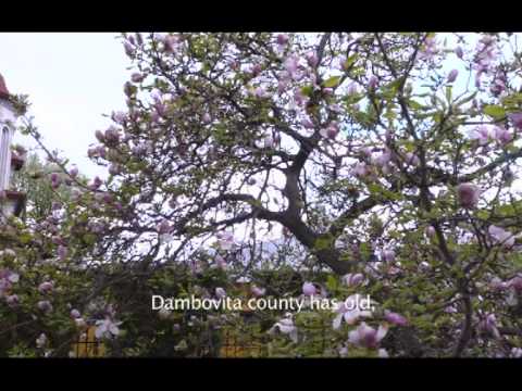 dambovita jumatate de mileniu, partea a IV-a.mpg