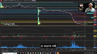 Gamma Profile para NinjaTrader e TradingView