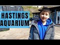 Hastings Aquarium Aquatic Animals Reptiles UK