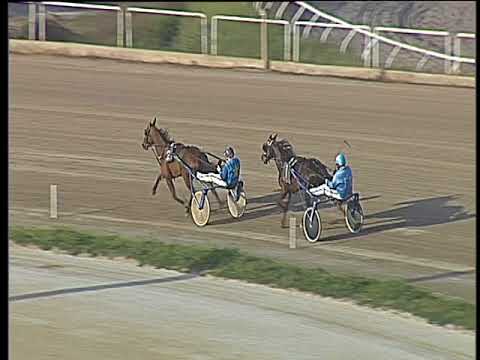 Trotto 08/04/2018 - prova di qualifica