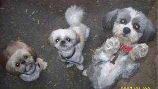 coro - where are you tonight