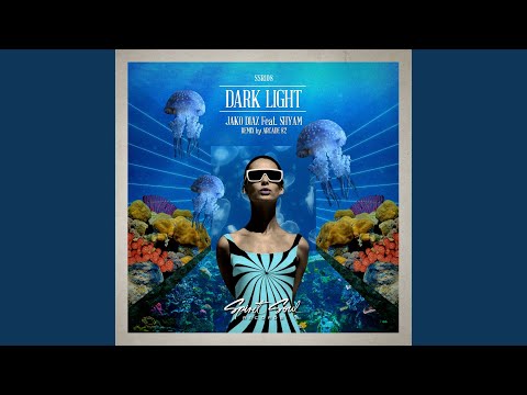 Dark Light (Arcade 82 Remix)