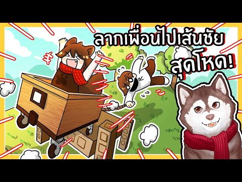 หมาสติแตกลากเพื่อนไปให้ถึงเส้ยชัย! 🐾