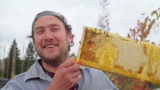 Every time Brad says Vinny on It&#39;s Alive