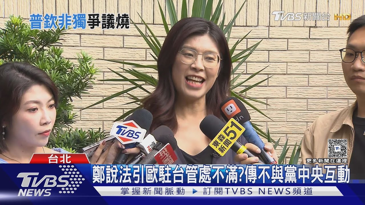 鄭麗文「普欽說」遭歐駐台使節封殺? 黨中央駁