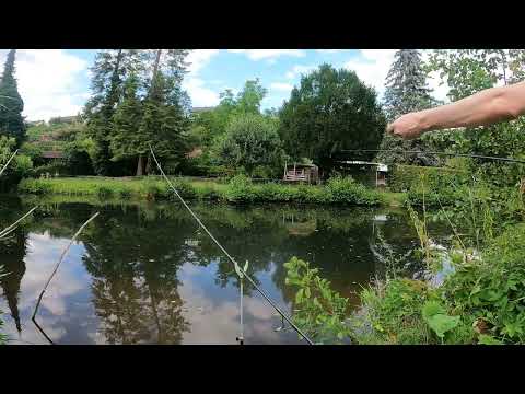 Ansitz am Bach auf alles was kommt. (Mais,Made,Tauwurm)