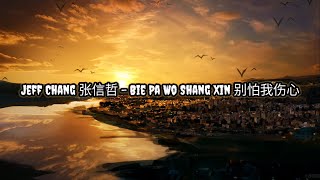 Jeff Chang 张信哲 - Bie Pa Wo Shang Xin 别怕我伤心 | Lirik | Lyrics | Terjemahan Indo