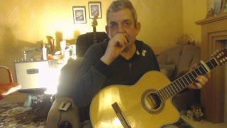 Blues Run The Game by Bert Jansch and me