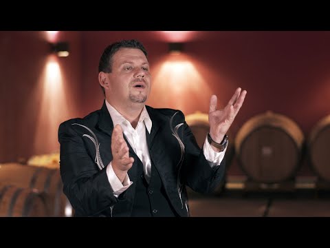 Darko Mlakar Še tisoč let 4K (Official Video)