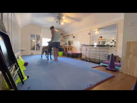 2021 0825 Dizzy General training