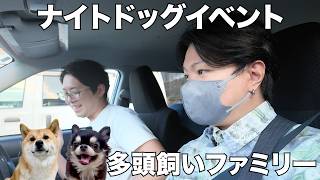 【犬夜市】夏最後の思い出！愛犬と横浜でお祭り気分！