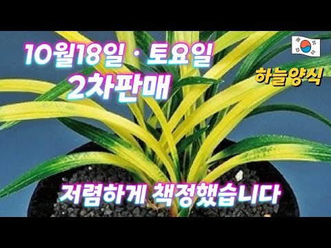 유튜브 썸네일