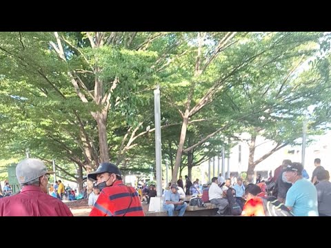 Asi Esta La Plaza Libertad Este Dia Lunes Aqui Estoy Reptilio Si Tiene Algo Con Migo