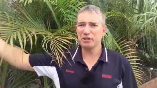 Ep80. New Export Opportunities Created | by Brendan Homan Properties