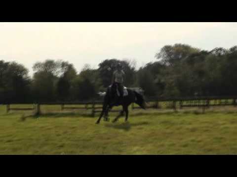 reenos being a brave boy!