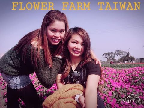 Flower Farm Taiwan