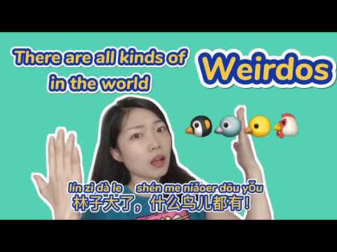 林子大了，什麼鳥都有