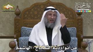 2363 - من أنواع ديّة الشجاج - الهاشمة - عثمان الخميس