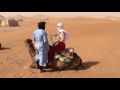 Camel Standing Up Erg Chigaga Luxury Desert Camp Morocco