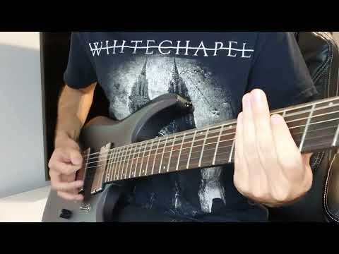 Ibanez RGD71ALMS Demo