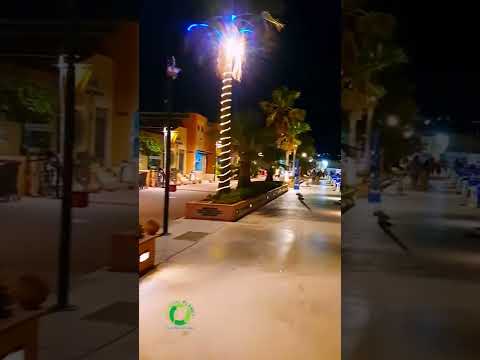 Psalm 119, Marcel Iureș, images Denia, Spain