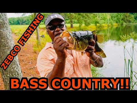 SWIMBAIT Catches Monster Bass ??| ZEBCO FISHING S3 Ep.4