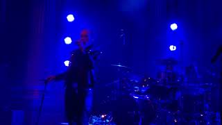 Peter Murphy 40 years of Bauhaus - A God in an Alcove