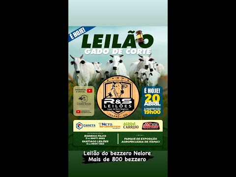 Leilão R&S LEILÕES - (20/04/2024) Leilão de Gado - Itapaci-GO