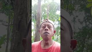 Download lagu niatnya nolongin, ga jadi deh mp3