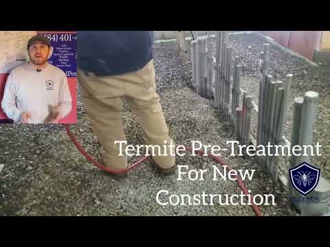 Termite Pretreatment for new Construction: Preventing termites after construction