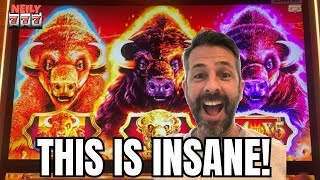 THIS SLOT IS MY PERSONAL ATM! I have won so much money playing Buffalo Gold Cash Collection!