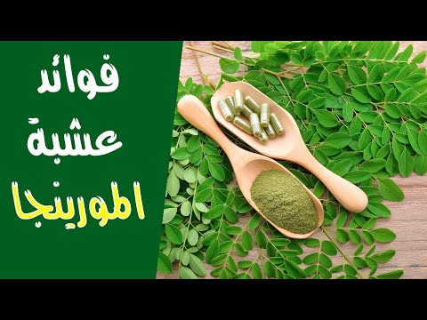 فوائد عشبة المورينجا