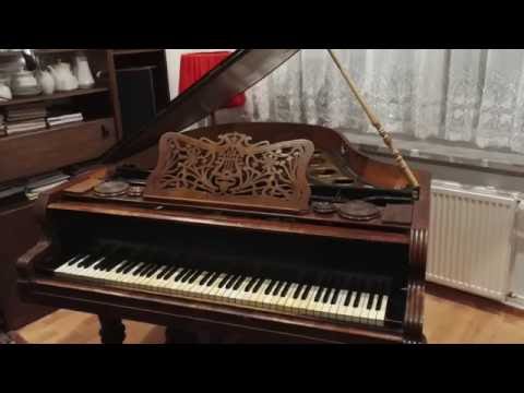 Adolf Neuburger Wien - 1898