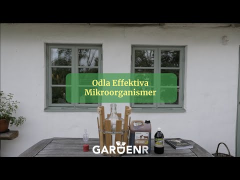 Odla effektiva mikroorganismer - Trädgårdshacks med GardenR