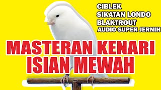 Download lagu MASTERAN KENARI ISIAN BLACKTROUT,CIBLEK,SIKATAN LONDO⁉️ GACOR PANJANG NGEROLL NEMBAK MEWAH JUARA⁉️⛔ mp3 Download lagu MASTERAN KENARI ISIAN BLACKTROUT,CIBLEK,SIKATAN LONDO⁉️ GACOR PANJANG NGEROLL NEMBAK MEWAH JUARA⁉️⛔ mp3