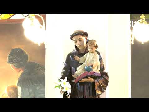 Pregled dana - Proslava svetog Antuna u Otoku