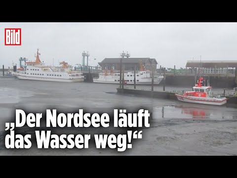 Extrem-Wetter: Nordsee liegt plötzlich trocken