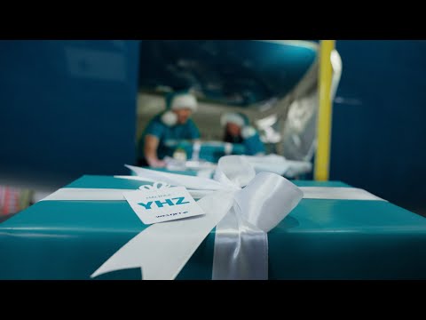 Christmas Miracle | WestJet #westjet #christmasmiracle