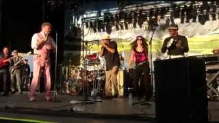 King Snake Comin' by Grammy Nominated Blinddog Smokin'