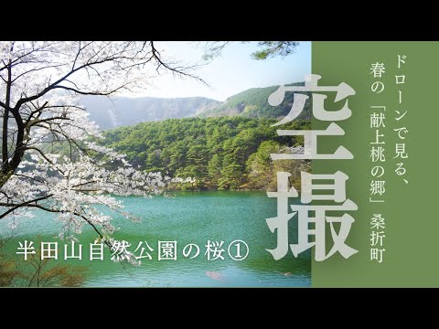ドローンで見る半田山自然公園の桜①