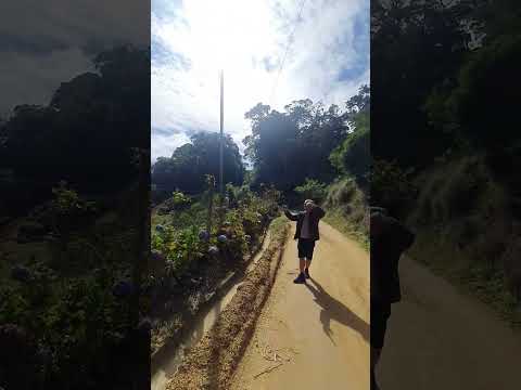 Um passeio no Alto de Macabu,  Trajano de Moraes RJ 