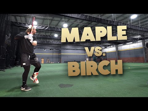 MAPLE vs. BIRCH | Wood Bat Review