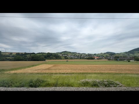 IR36 Mitfahrt: Frick - Stein-Säckingen (02.07.2024)
