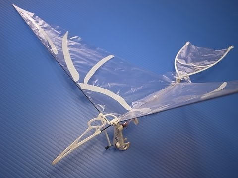 Ornithopter pteranodon RC type　モータープテラ