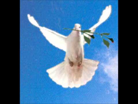 La Paloma Nini Rosso