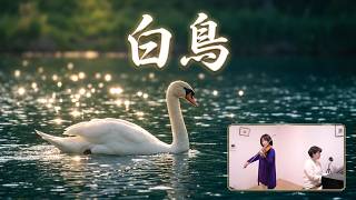 Download lagu 【白鳥 / サン=サーンス】バイオリン&ピアノ演奏(Saint-Saëns: The Swan) mp3 Download lagu 【白鳥 / サン=サーンス】バイオリン&ピアノ演奏(Saint-Saëns: The Swan) mp3