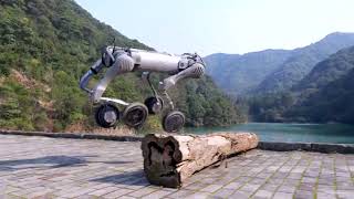 [問卦] 機器狗 機器人 都幾？