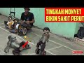 Video Lucu Topeng Monyet ️bikin Smua Penonton Sakit Perut