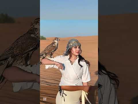 අරාබි style එකට ලස්සනම කවුද? Who is the most beautiful in Arabic style?  #trending #viralvideo