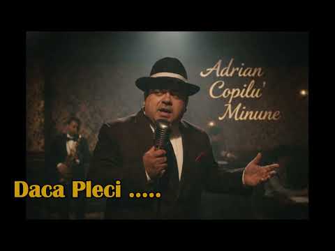 Adrian Copilu' Miracle - If You Leave, Who Will I Stay With (New Version)